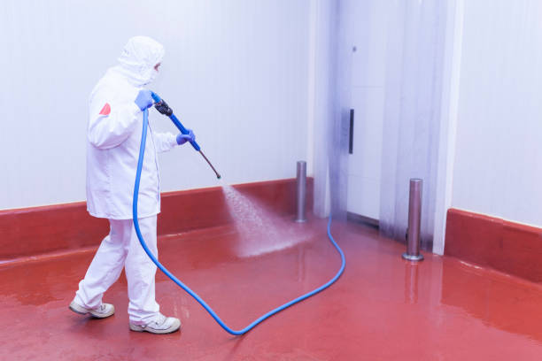 Best Warehouse Cleaning  in Morton, TX